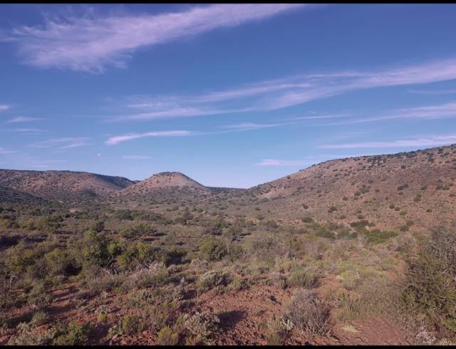 10,000M² VACANT LAND FOR SALE IN LADISMITH RURAL